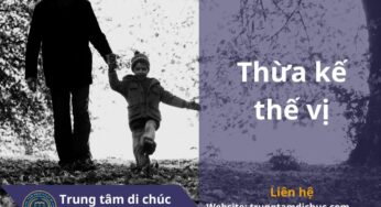 THỪA KẾ THẾ VỊ