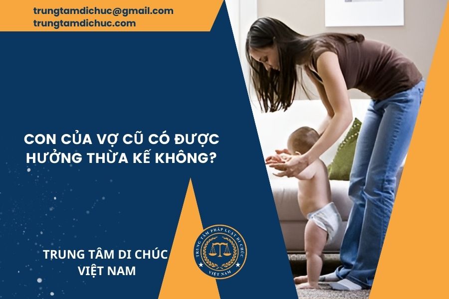 Con của cợ cũ có được hưởng thừa kế không